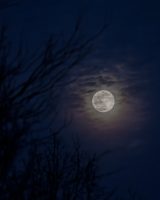 A full moon shines through a veil of thin clouds, surrounded by a deep blue night sky and faint tree silhouettes.